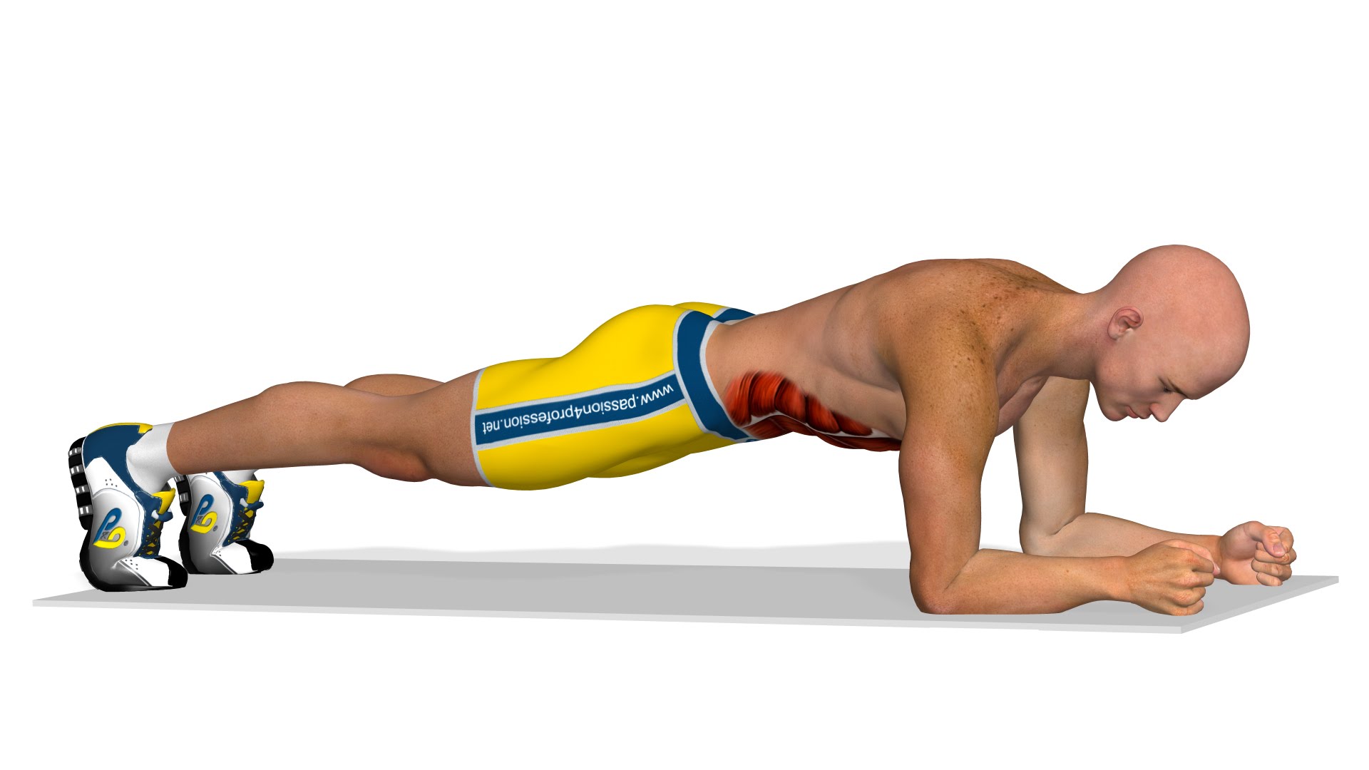 Phần mềm tập thể dục - Tập Plank