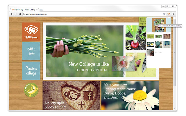 Phần mềm chỉnh ảnh Online Pic Monkey